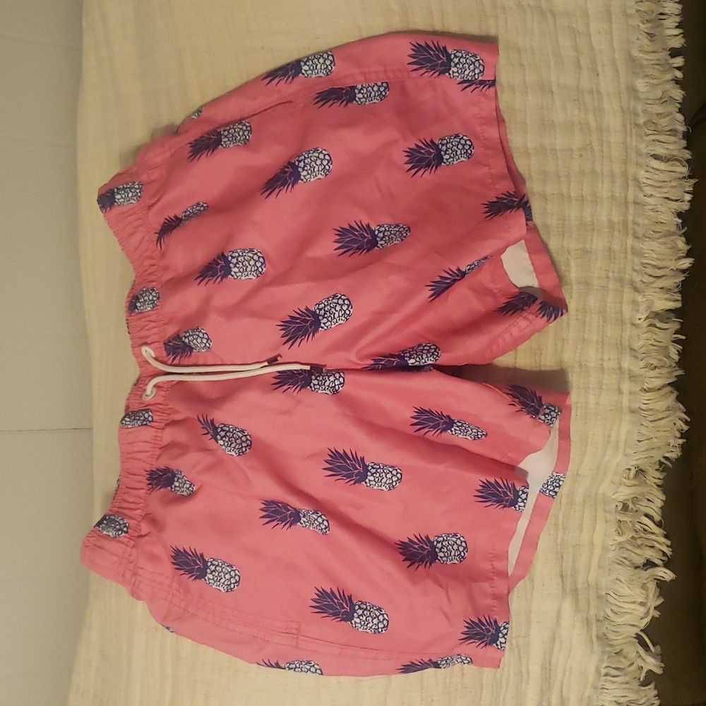 Mens Small Hollister Swim Trunks
